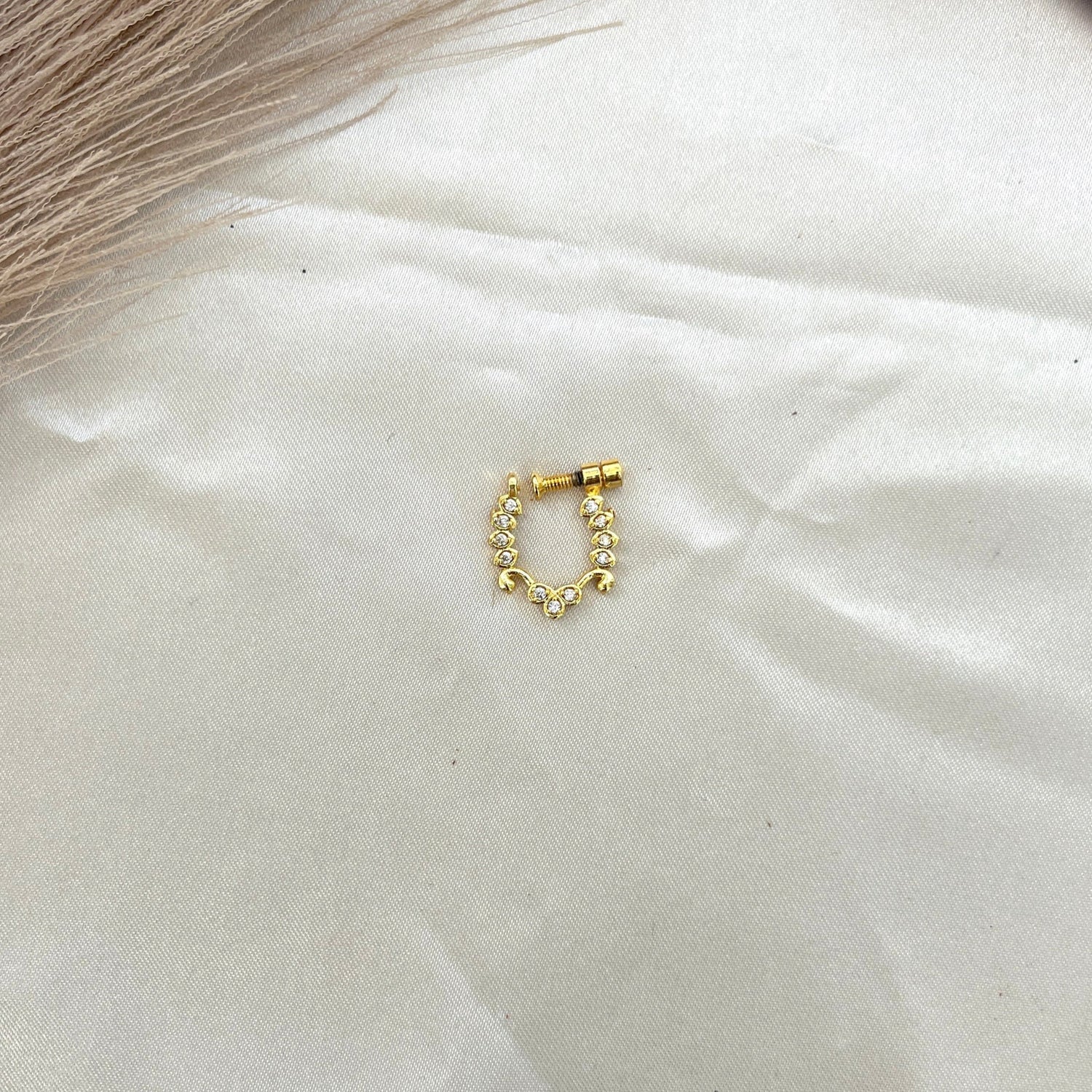 Nose Pin